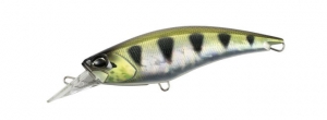 LAA3365 Archer Fish II